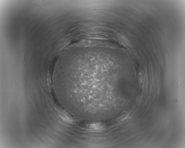 X0000066540173200603201435