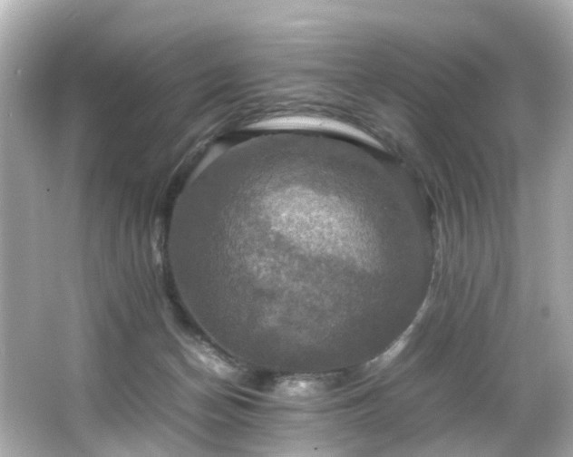 X0000066540174200603201435