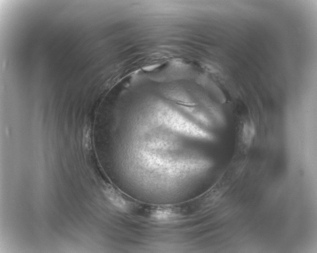 X0000066540177200603201435