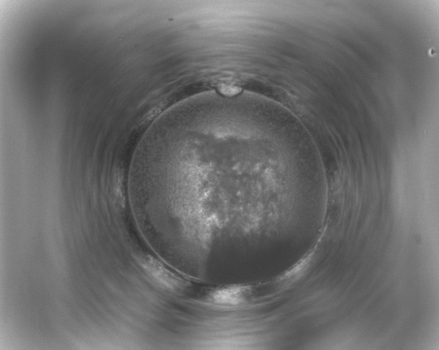 X0000066540178200603201435