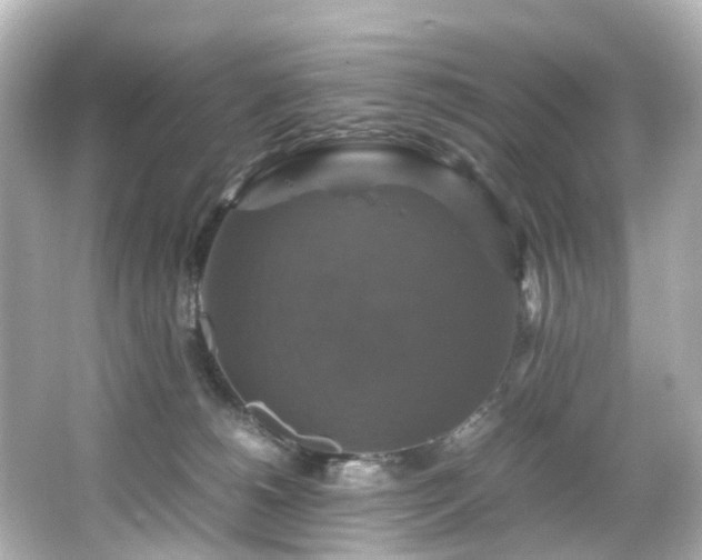 X0000066540180200603201435