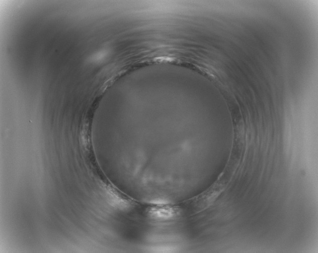 X0000066540181200603201435