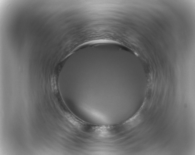 X0000066540182200603201435