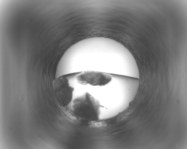 X0000066540185200603201435