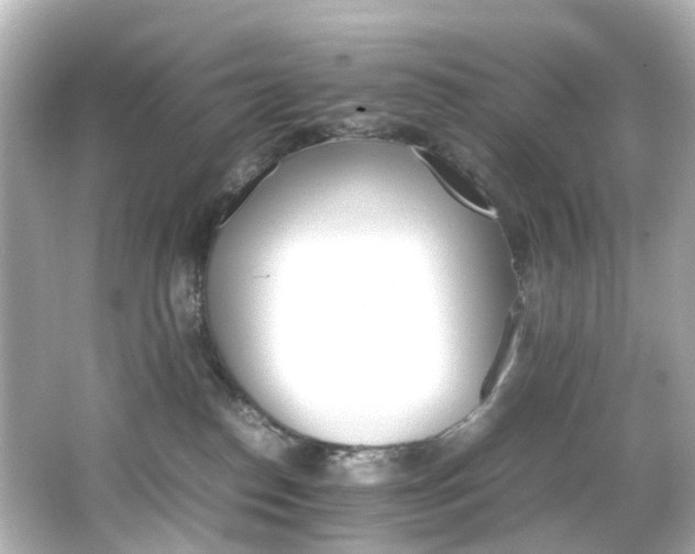 X0000066540186200603201435