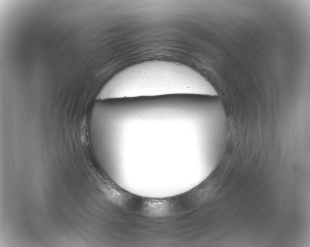 X0000066540189200603201435