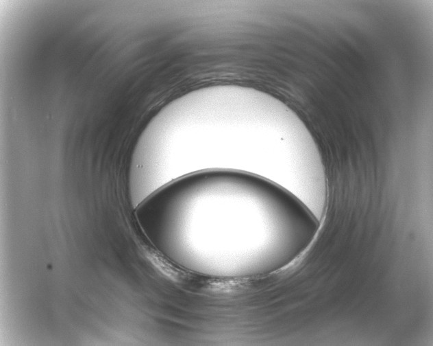 X0000066540190200603201435