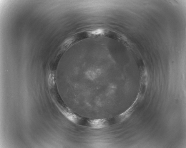 X0000066540191200603201435