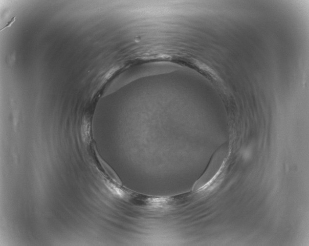 X0000066540192200603201435