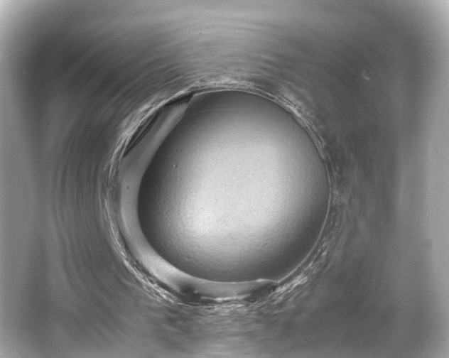 X0000066540193200603201434