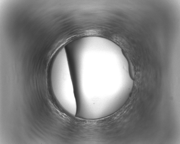 X0000066540194200603201434