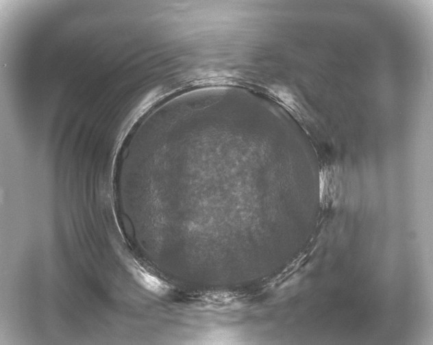 X0000066540195200603201434