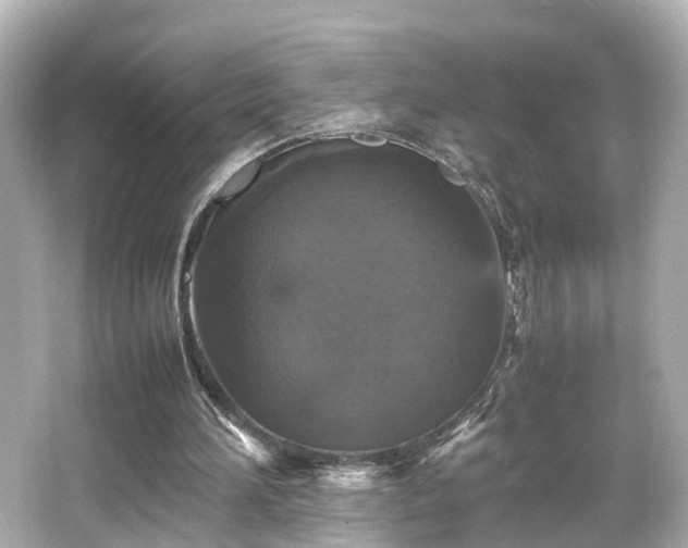 X0000066540196200603201434