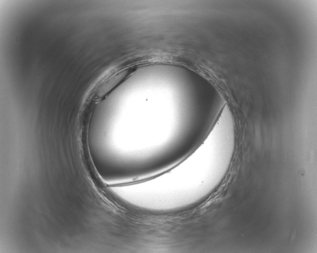 X0000066540197200603201434