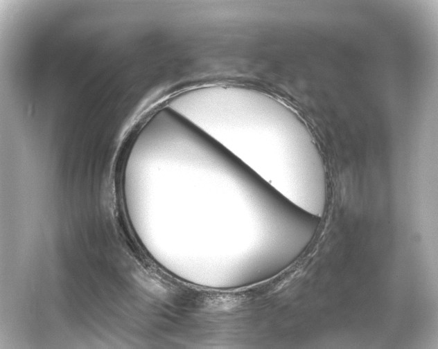 X0000066540198200603201434