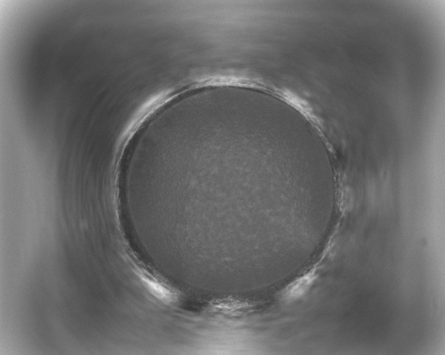 X0000066540199200603201434