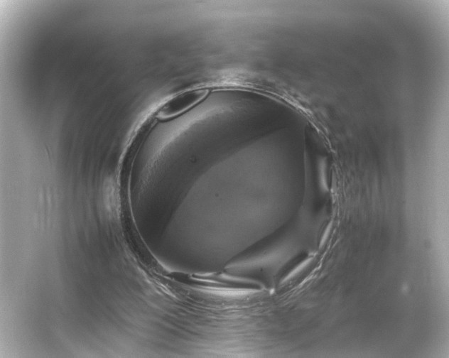 X0000066540200200603201434