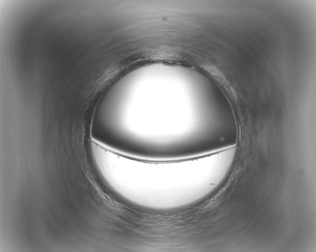 X0000066540201200603201434