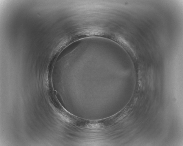 X0000066540202200603201434