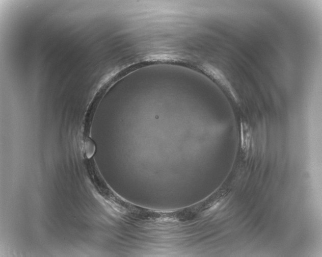 X0000066540204200603201434