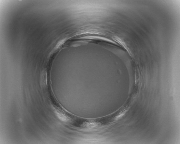 X0000066540205200603201434