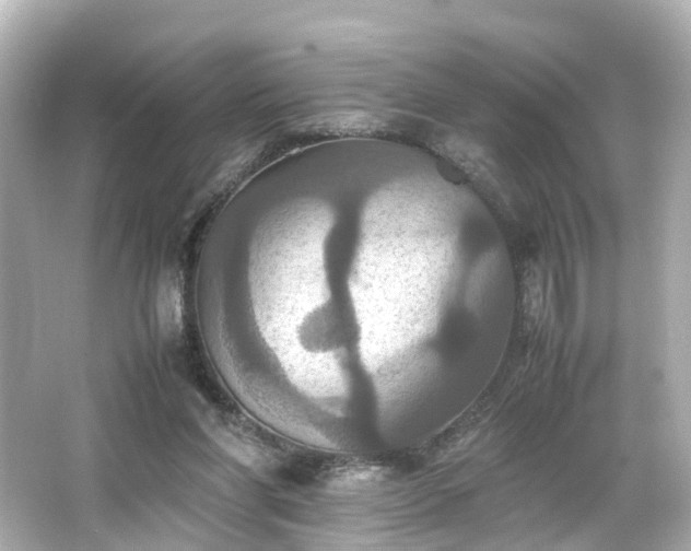 X0000066540206200603201434