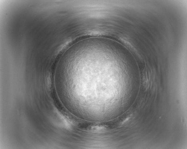 X0000066540208200603201434