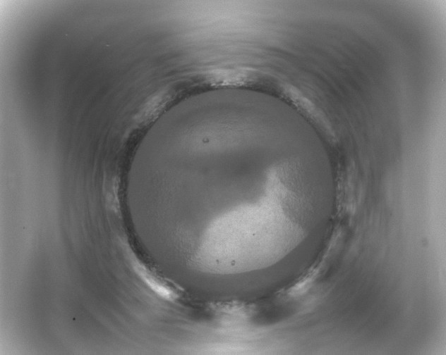 X0000066540209200603201434