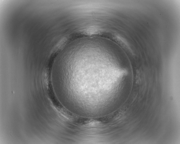 X0000066540210200603201434