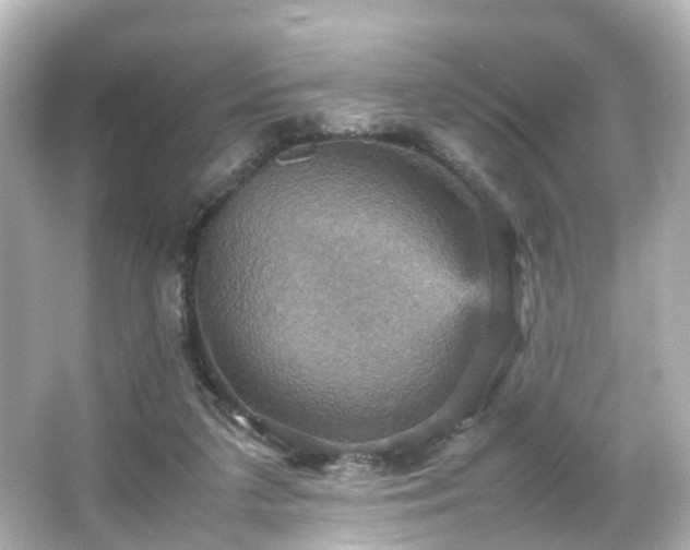 X0000066540211200603201434