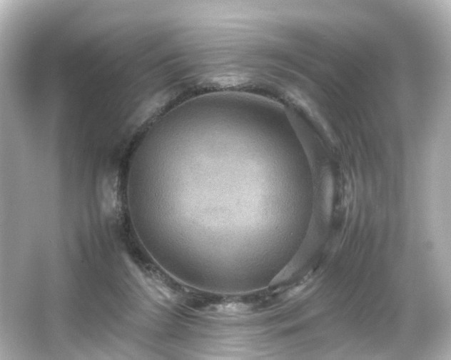 X0000066540212200603201434