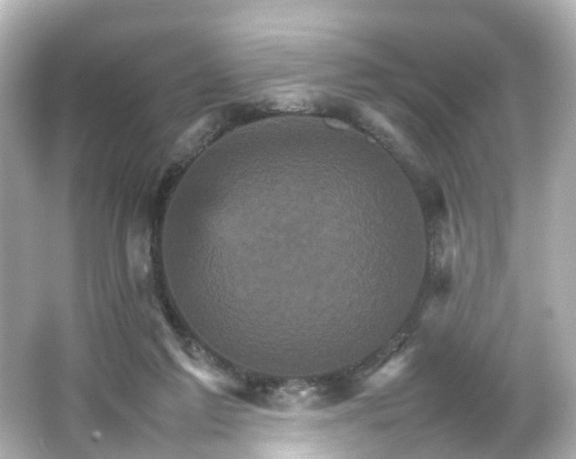 X0000066540213200603201434