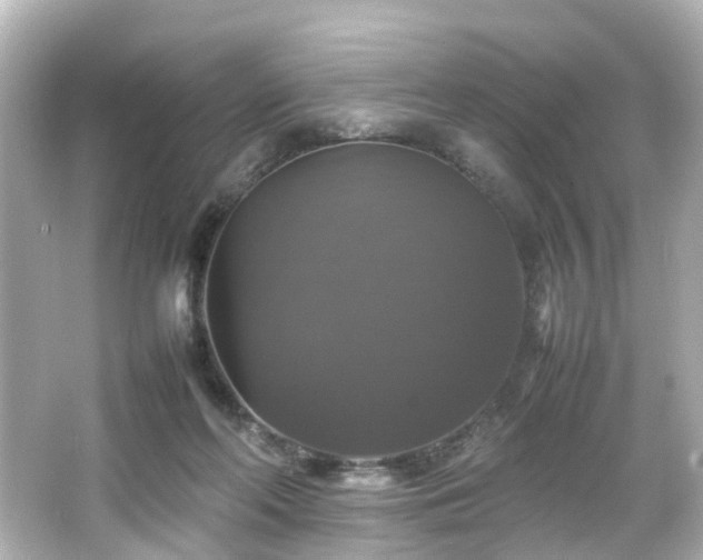 X0000066540214200603201434