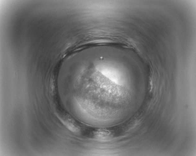 X0000066540215200603201434