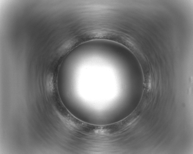 X0000066540216200603201434