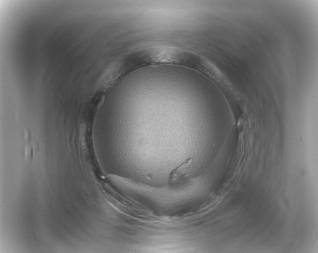 X0000066540217200603201434