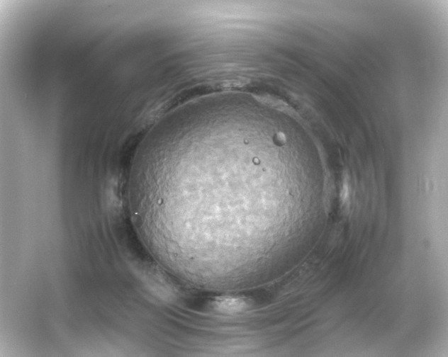 X0000066540218200603201434