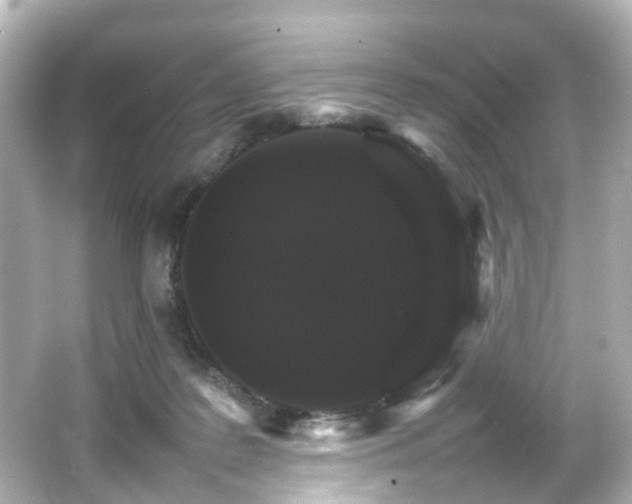 X0000066540219200603201434