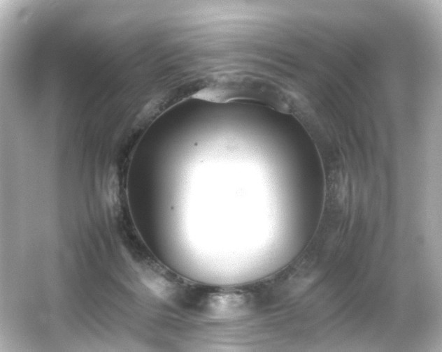 X0000066540220200603201434