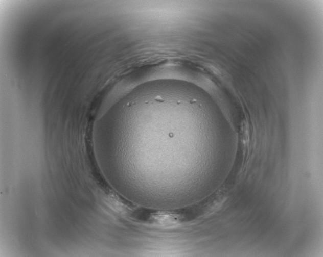 X0000066540221200603201434