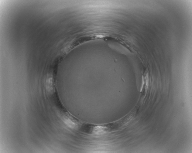 X0000066540222200603201434