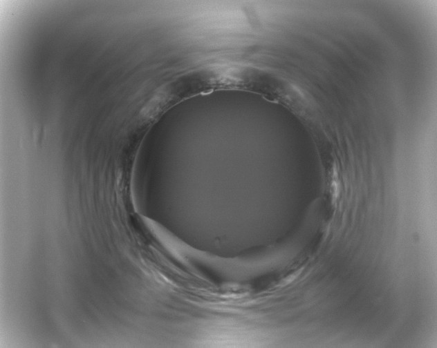 X0000066540223200603201434