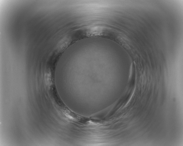 X0000066540224200603201434