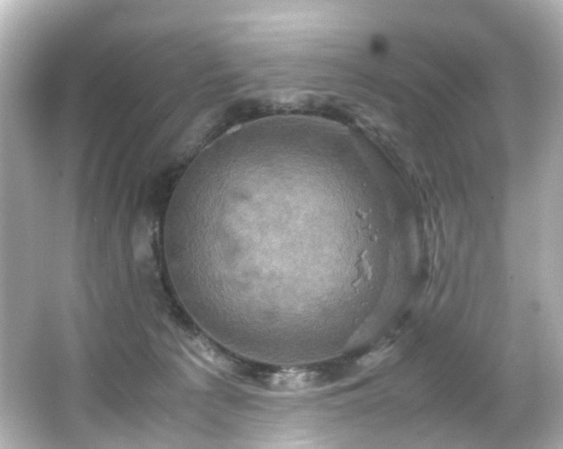 X0000066540225200603201434