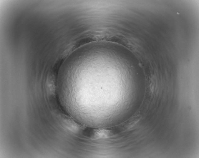 X0000066540226200603201434