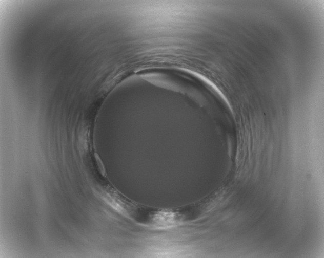 X0000066540227200603201434