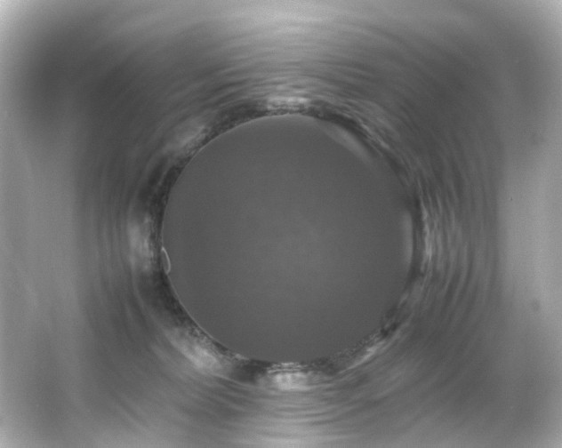 X0000066540228200603201434