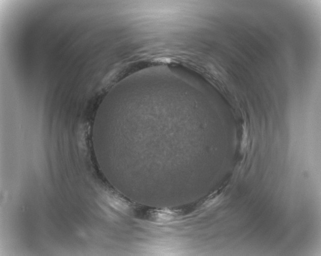 X0000066540229200603201434