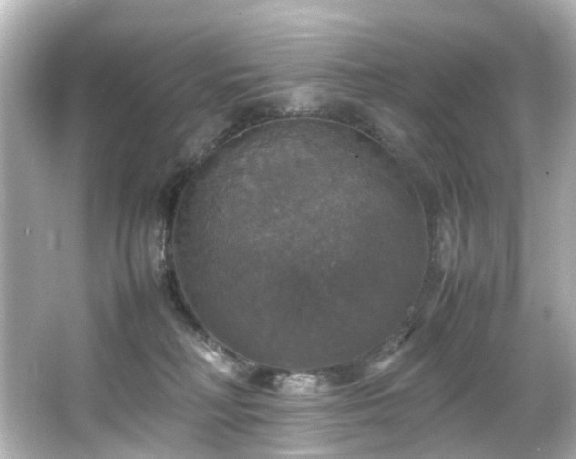 X0000066540230200603201434