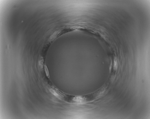 X0000066540231200603201434